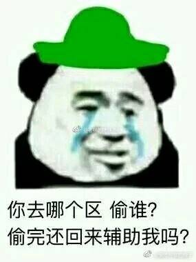 你去哪个区偷谁？偷完还回来辅助我吗？