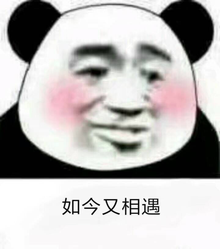 如今又相遇