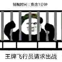 制裁时间：剩余1会钟，王牌飞行员请求出战