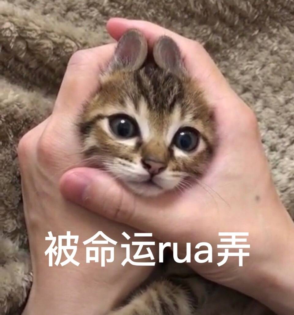 被命运rua弄