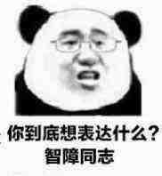 你到底想表达什么？智障同志