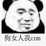 狗女人我cnm