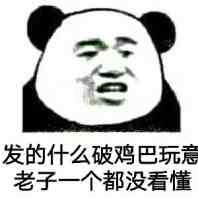 发的什么破鸡巴玩意，老子一个都没看懂