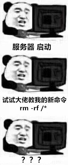 服务器启动、试试大佬教我的新命令。rm -rf /*