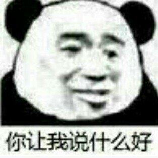 你让我说什么好