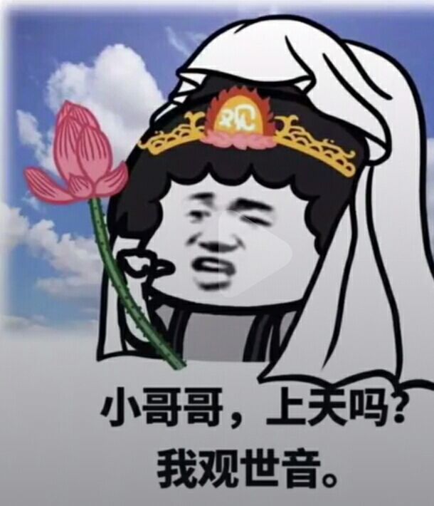 小哥哥，上天吗我观世音。