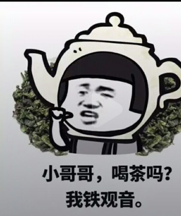 小哥哥，喝茶吗？我铁观音。