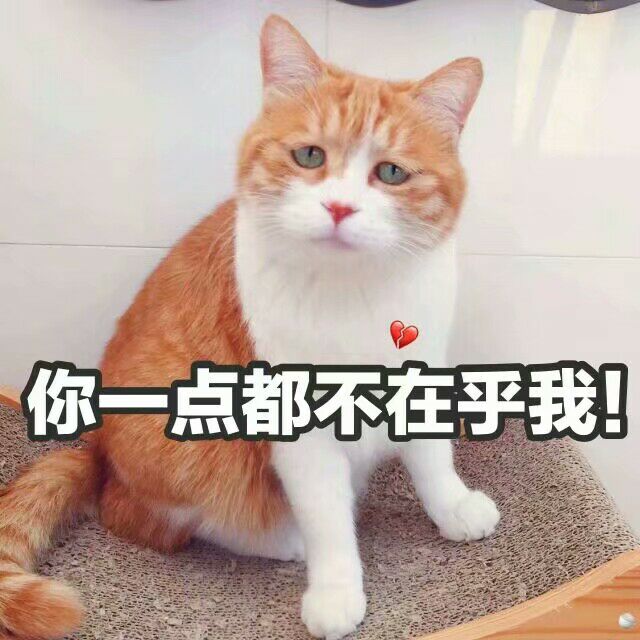 你一点都不在乎我