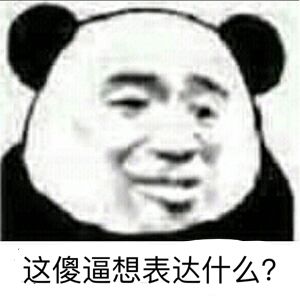 这傻逼想表达什么？