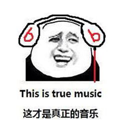 This is true music这才是真正的音乐