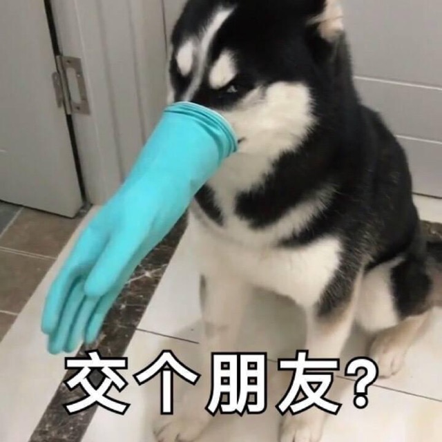 交个朋友？