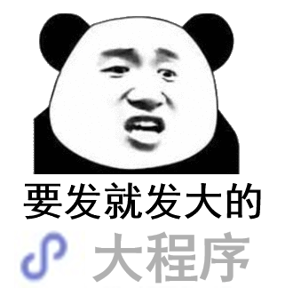 要发就发大的，大程序