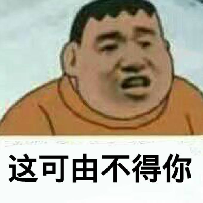 这可由不得你