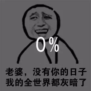 老婆，没有你的日子，我的全世界都灰暗了