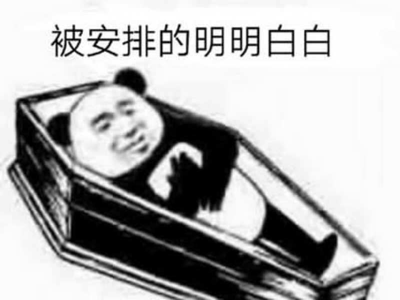 被安排的明明白白