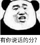 有你说话的分？