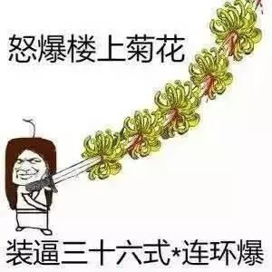 怒爆楼上菊花，装逼三十六式连环爆