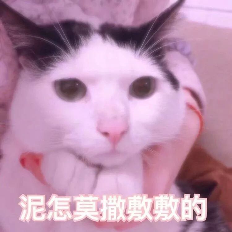 泥怎莫撒敷敷的