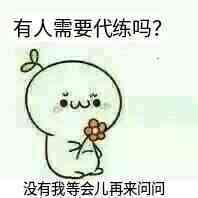 有需要代练的吗？