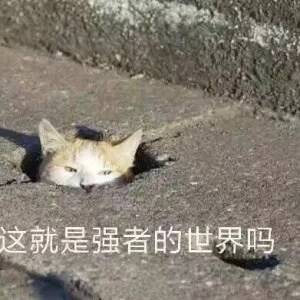 这就是强者的世界吗？