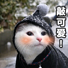 敲可爱