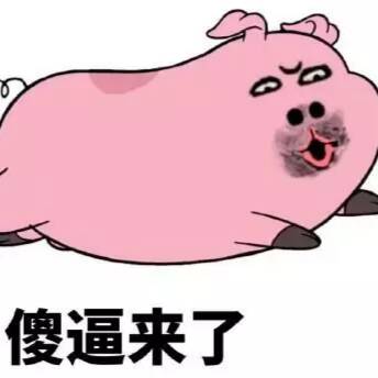 傻逼来了