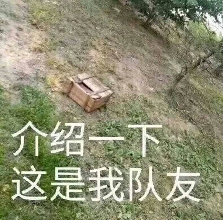 介绍这是我队友