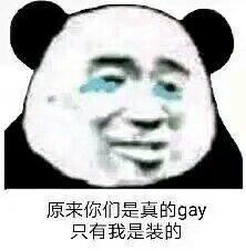 原来你们是真的gay，只有我是装的