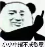 小小中指不成敬意