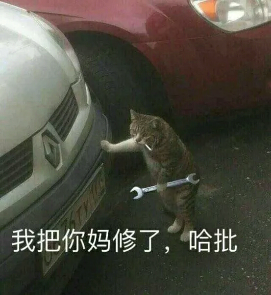 我把你妈修了，哈批（小猫修车）