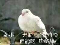 弱小无助又可怜，但能吃还会咕帖