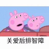 关爱后排智障