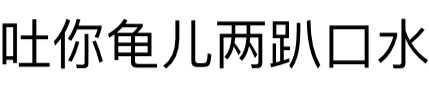 吐你龟儿两趴口水