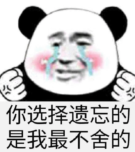 你选择遗忘的，是我最不舍的