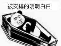 被安排的明明白白