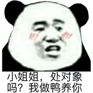 小姐姐，处对象吗？我做鸭养你