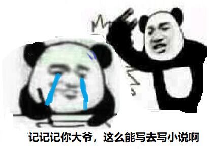 记记记你大爷，这么能写去写小说啊