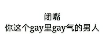 闭嘴你这个gay里gay气的男人