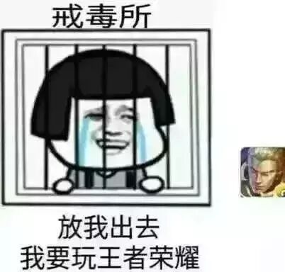 戒毒所放我出去，我要玩王者荣耀