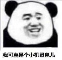 我可真是个小机灵鬼儿