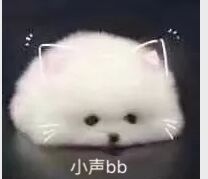 小声bb