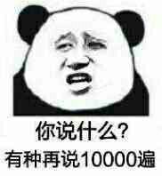 你说什么？有种再说10000遍