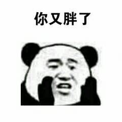 你又胖了