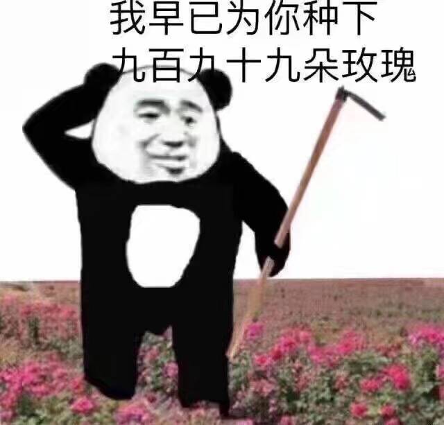 我早已为你种下百力十九朵玫瑰