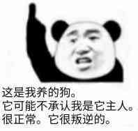 这是我养的狗。它可能不承认我是它主人。很正常。它很叛逆的。