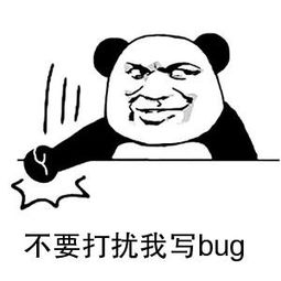 不要打扰我写bug