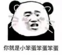 你就是小笨蛋笨蛋笨蛋