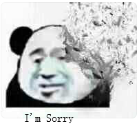 I'm Sorry（脸掉了一半）