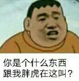 你是个什么东西跟我胖虎在这叫？