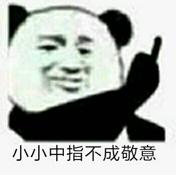 小小中指，不成敬意